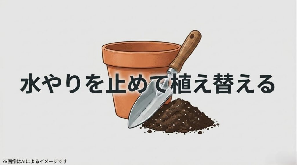 葉が落ちるなどの重症時に、まず水やりをストップし植え替えを検討することを促すスライド