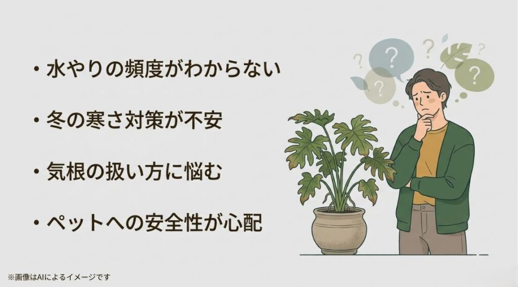 セロームを前に水やりや寒さ対策、気根、安全性について悩んでいる人のイラスト