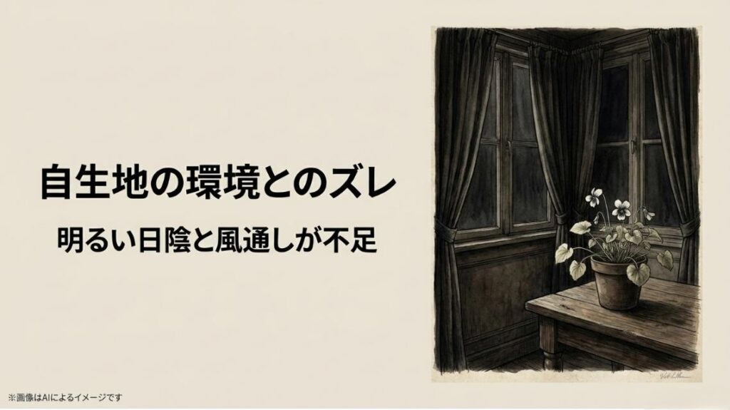 薄暗い室内の窓辺に置かれた鉢植えのイラストとともに、明るい日陰と風通しの不足が栽培のズレであると指摘するスライド