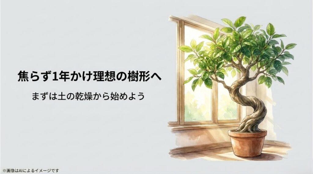 焦らず1年かけて理想の樹形へ育てるため、まずは土の乾燥から始めようというメッセージと美しい観葉植物のイラスト