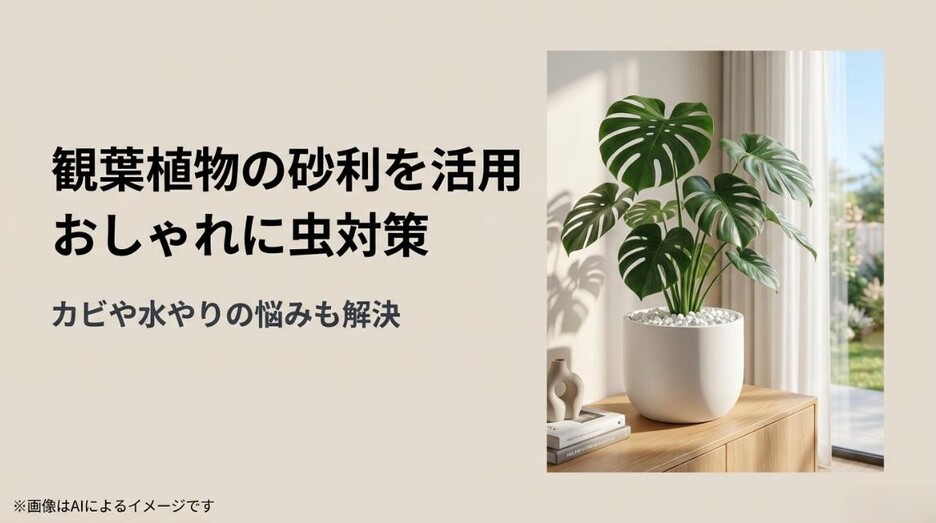観葉植物の鉢植えに白い砂利を敷いた様子と、おしゃれに虫対策やカビ、水やりの悩みを解決するという記事のテーマを伝えるアイキャッチ画像