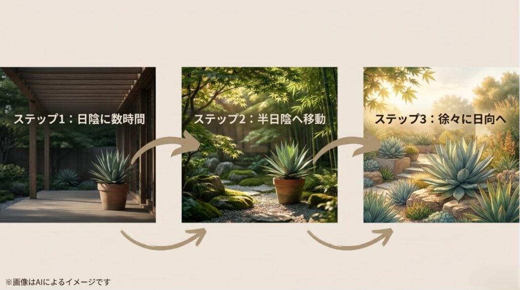 日陰に数時間、半日陰へ移動、徐々に日向へと、植物を屋外環境に慣らしていく3つのステップを解説したスライド