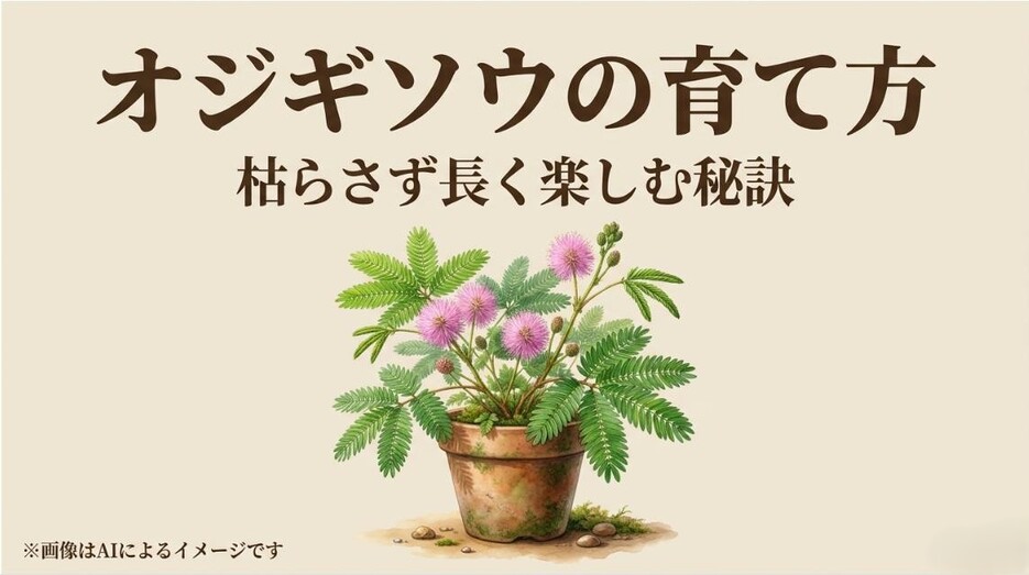ピンク色の花を咲かせた元気なオジギソウの鉢植えイラストと、枯らさず長く楽しむ秘訣を伝えるアイキャッチ画像