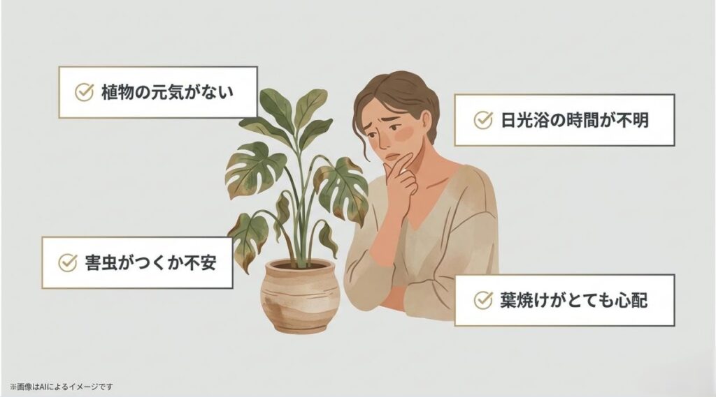 観葉植物の前で悩む女性のイラストと、日光浴の時間や害虫・葉焼けへの不安をまとめたスライド