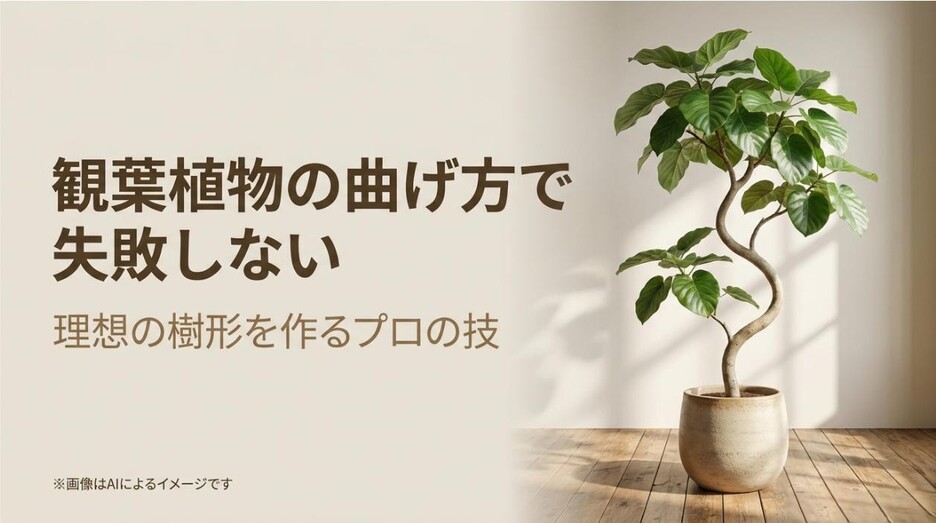 観葉植物の曲げ方と理想の樹形を作るプロの技を伝えるタイトルのアイキャッチ画像