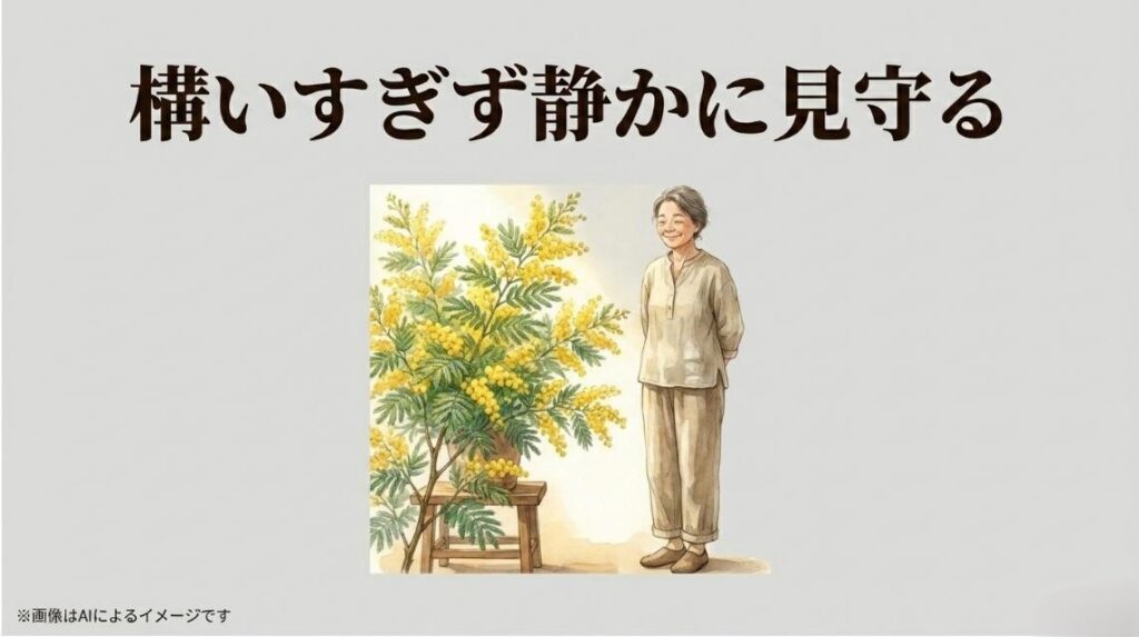 鉢に植えられた小さなオジギソウのイラストと、構いすぎず静かに見守るという愛情深い栽培の心得を伝えるスライド