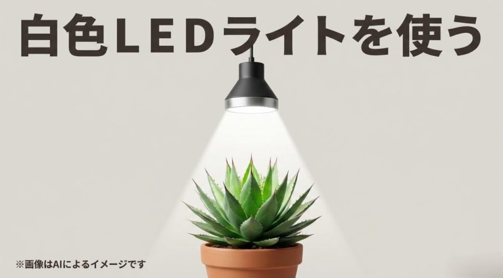 葉を優しく照らす白色LED電球のイメージイラスト