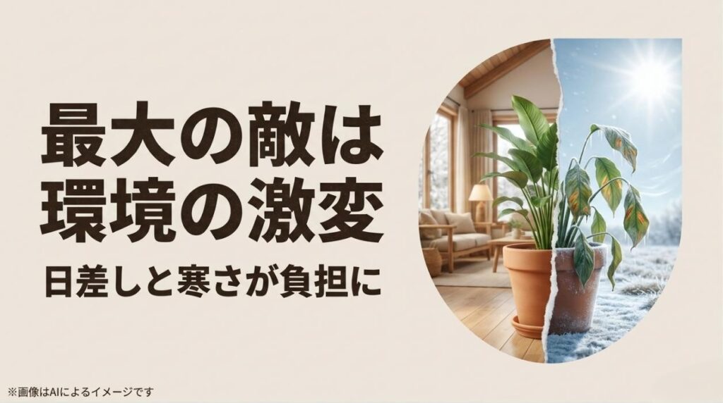 室内環境と厳しい屋外環境が対比して描かれ、日差しと寒さが植物の負担になることを示すスライド
