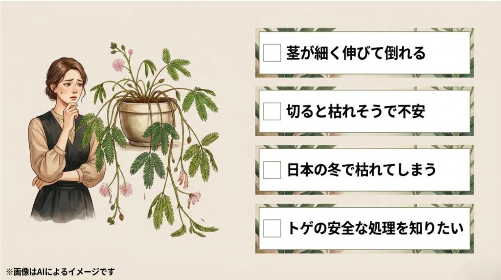 徒長して垂れ下がったオジギソウを見て悩む女性のイラストと、茎の伸びや冬越しの不安をまとめたスライド