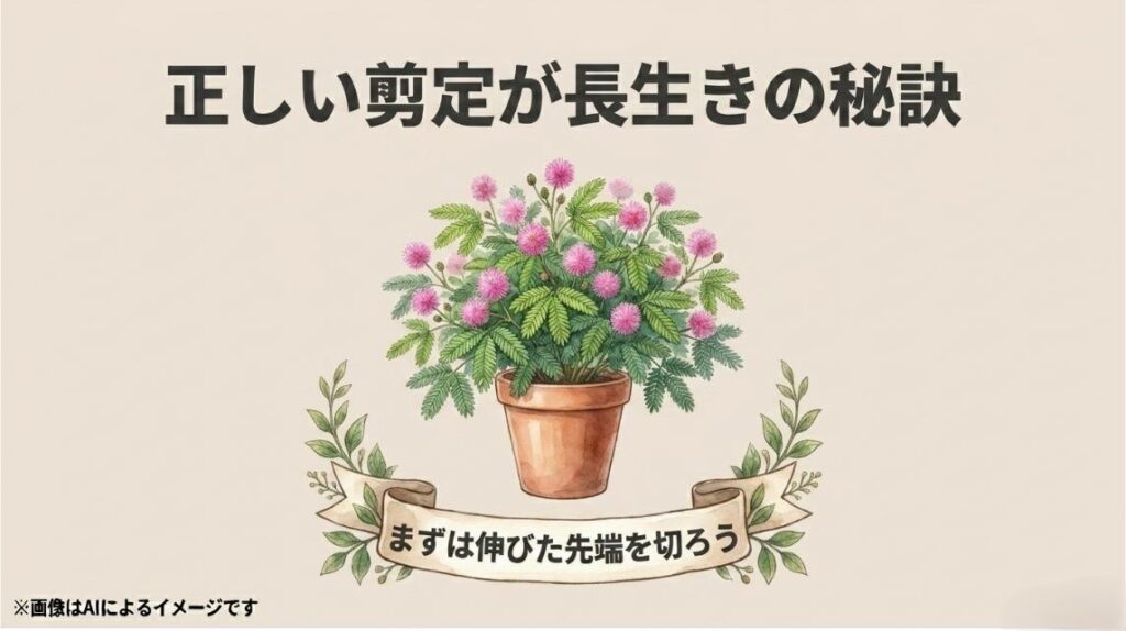 こんもりと美しく茂った健康なオジギソウの鉢植えと、「まずは伸びた先端を切ろう」と書かれたリボンのイラスト
