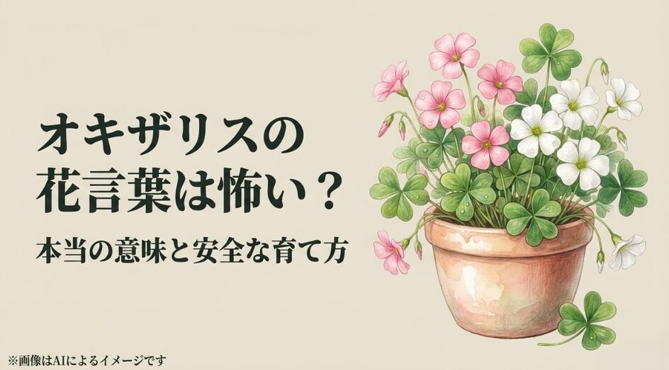 オキザリスの花言葉に怖い意味があるのかという疑問と、本当の意味や育て方を解説する記事のアイキャッチ画像