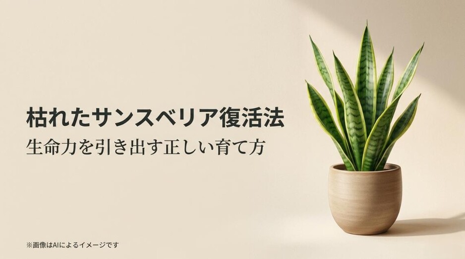 鉢植えの元気なサンスベリアの写真と、枯れた状態からの復活法や生命力を引き出す正しい育て方を伝えるアイキャッチ画像