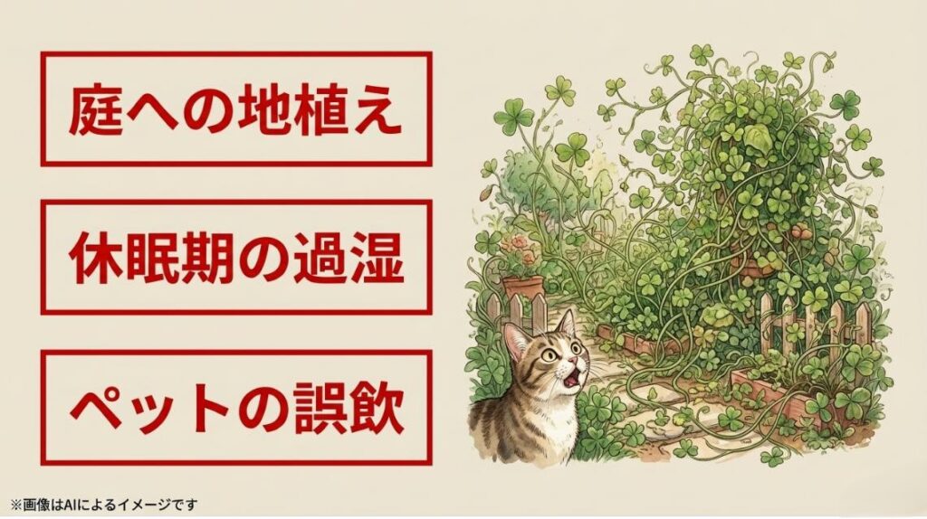 庭で異常繁殖したオキザリスに驚く猫のイラストと、休眠期の過湿、地植え、ペットの誤飲への注意喚起