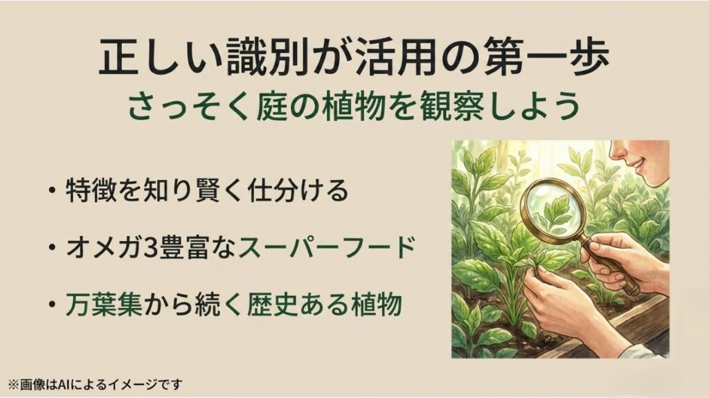 虫眼鏡を使ってお庭の緑の植物を笑顔で優しく観察し、特徴を知って賢く仕分ける女性のイラスト