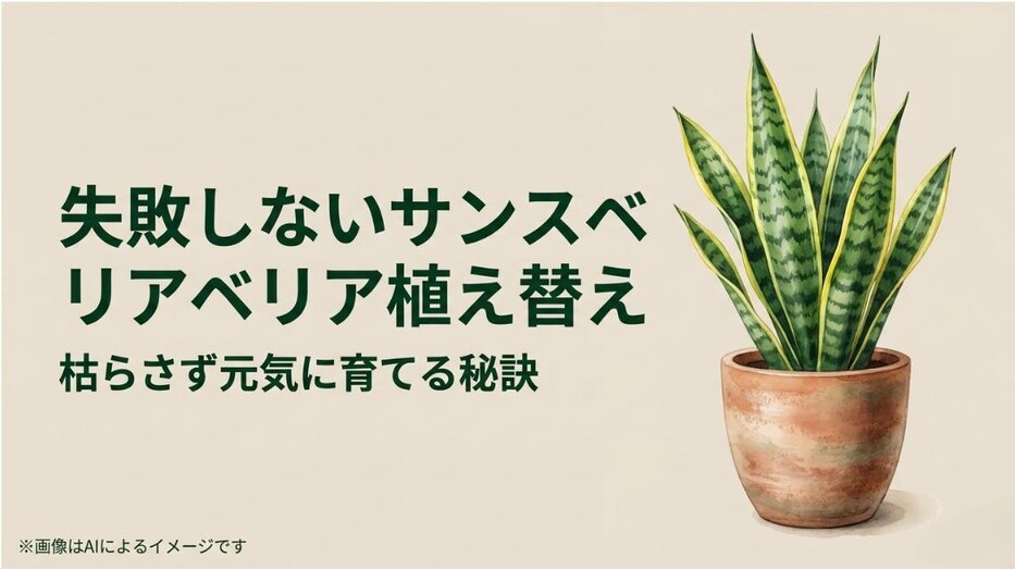 鉢植えのサンスベリアのイラストと、失敗しない植え替えの秘訣を伝えるアイキャッチ画像