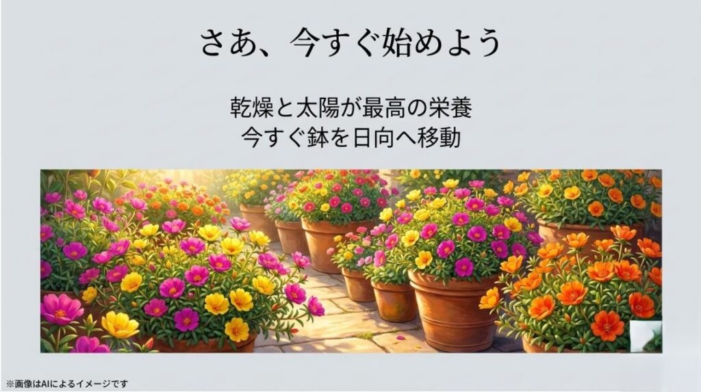 太陽の光をたっぷり浴びてお庭の鉢植えや花壇で満開に咲き誇る美しいポーチュラカの絨毯のイラスト