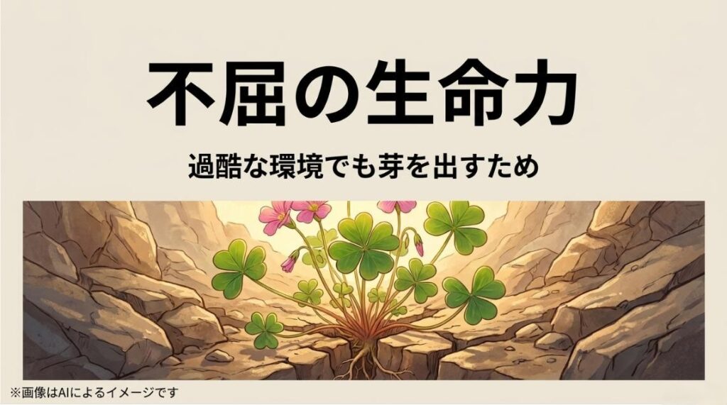 ひび割れた岩の間から力強く芽を出し、花を咲かせているオキザリスのイラスト