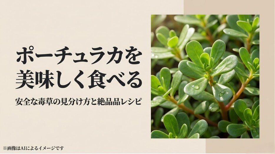 水滴がついたみずみずしいポーチュラカの葉の写真と、「ポーチュラカを美味しく食べる」「安全な毒草の見分け方と絶品レシピ」と書かれたタイトルスライドのアイキャッチ画像