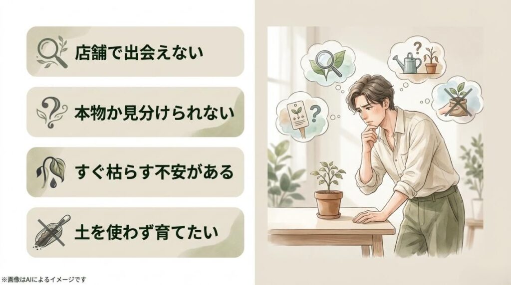 「店舗で出会えない」「本物か見分けられない」「すぐ枯らす不安がある」「土を使わず育てたい」という、100均セロームに関するよくある悩みをまとめたスライド
