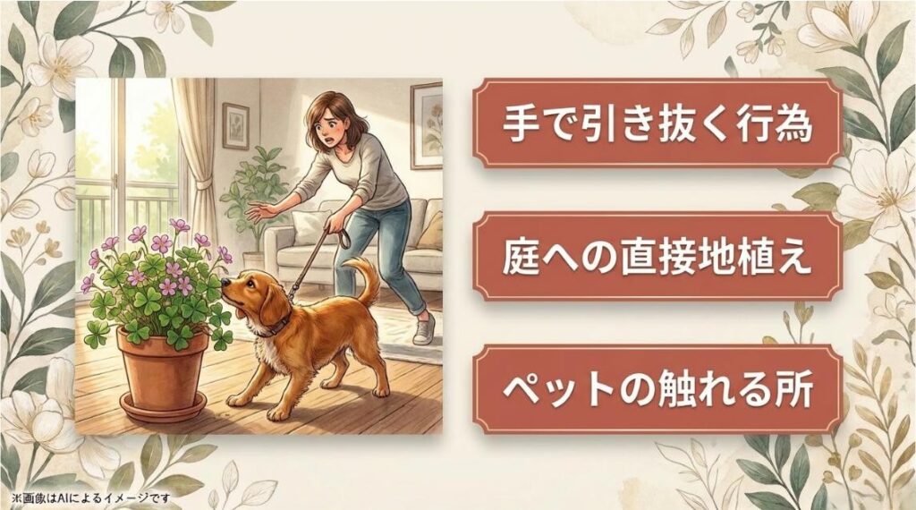 手で引き抜く行為、庭への直接地植え、ペットの触れる所という3つの禁止・注意事項を警告するアイコンイラスト