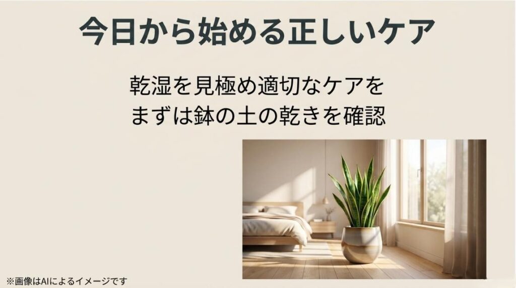 窓際で朝日を浴びる美しいサンスベリアの写真と、土の乾きを確認して適切なケアを始めることを促すまとめのスライド