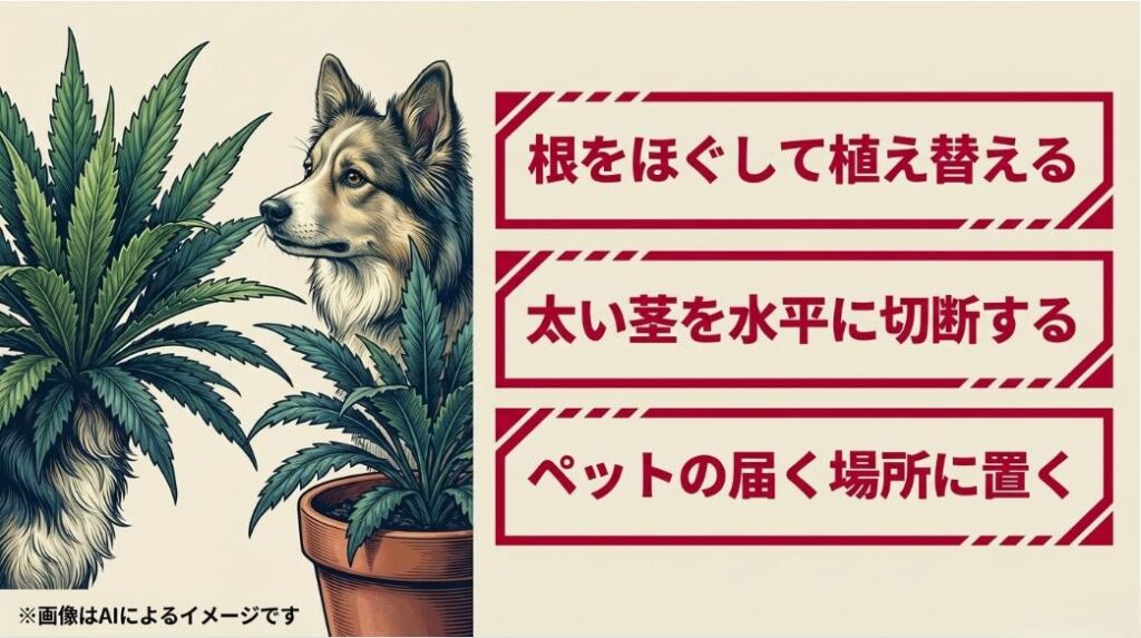 犬と観葉植物のイラストと共に、根をほぐす、太い茎を水平に切る、ペットの届く場所に置くなどのNG行動を警告するスライド