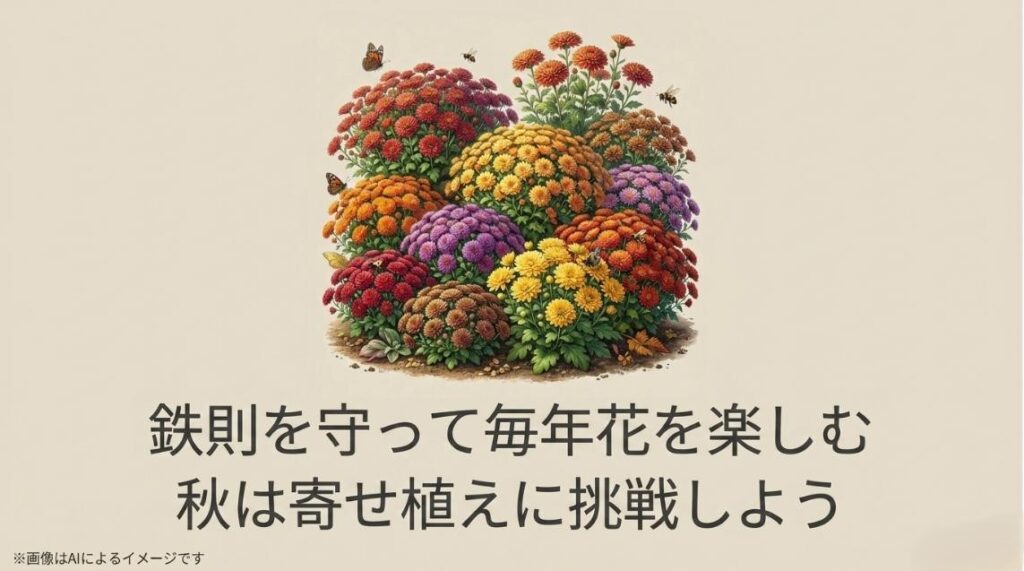 色とりどりのガーデンマムが美しく咲き誇る庭のイラストと、寄せ植えへの挑戦を促す前向きなメッセージ