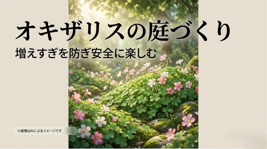 オキザリスの庭づくりにおける増えすぎ防止や安全な楽しみ方のポイントをまとめたアイキャッチ画像