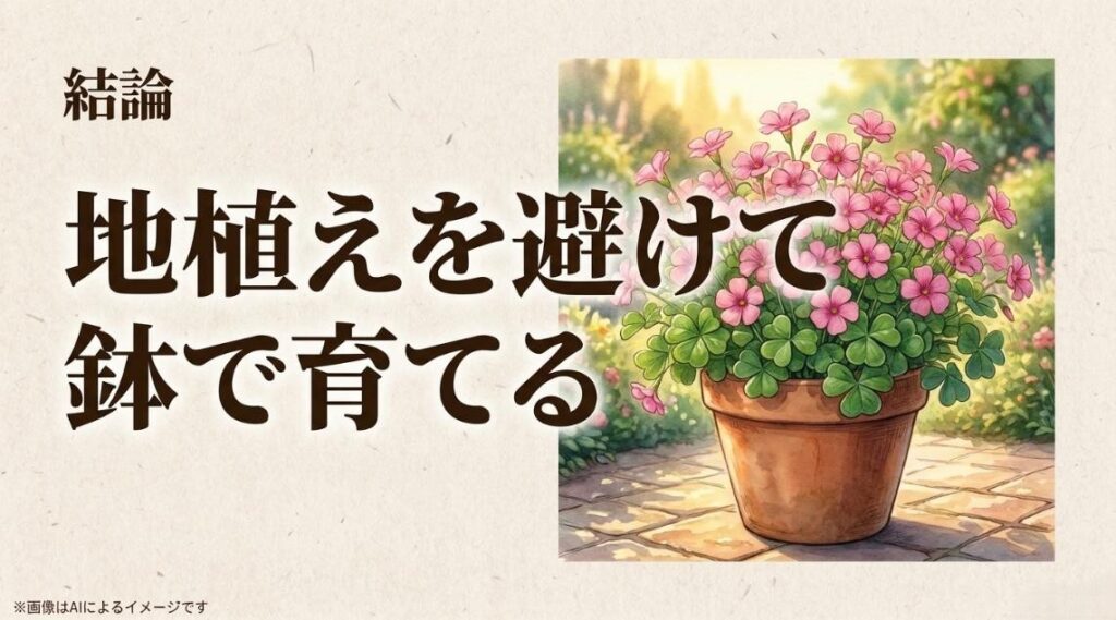 鉢植えのオキザリスのイラストと、増えすぎを防ぐため地植えを避けて鉢で育てるべきという結論を伝えたスライド