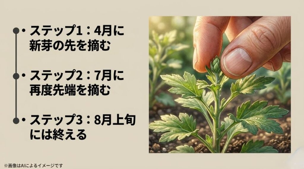 植物の新芽を指で摘み取るイラストと、4月、7月、8月上旬という摘心の具体的なステップとデッドラインを示したスライド